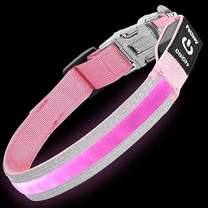 PetIsay Dog Light up Collar with Metal Buckle – Ultimate Reflective LED Dog Collar Rechargeable/Waterproof – Glow in The Dark Dog Collars for Night Walking, Camping, Foggy Weather(Pink,M)