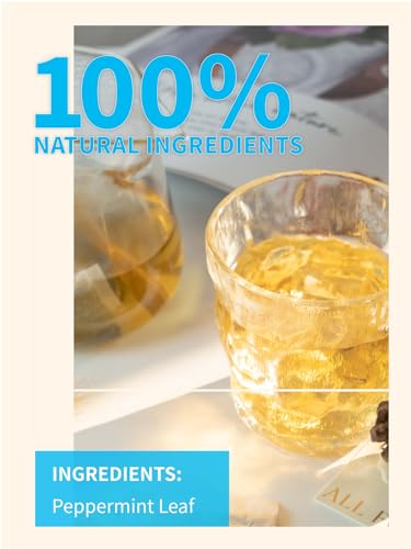 Image of TeeLux Peppermint Tea Bags, Natural Peppermint Herbal Tea, Refreshing & Soothing Mint Tea, Caffeine Free, 100 Count