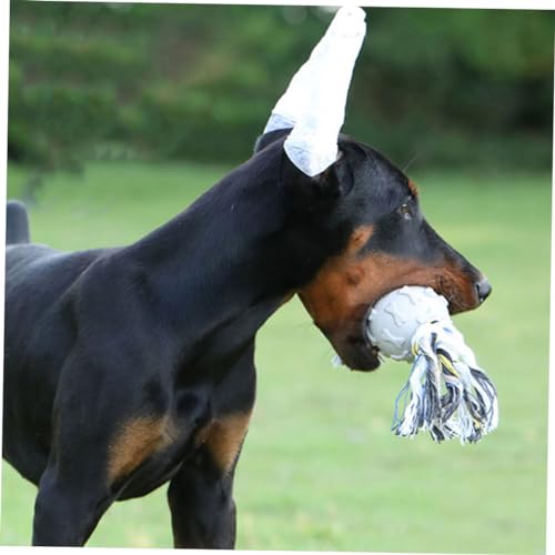 Correcteur oreilles pour chiots avec bâtonnets mousse anti irritation