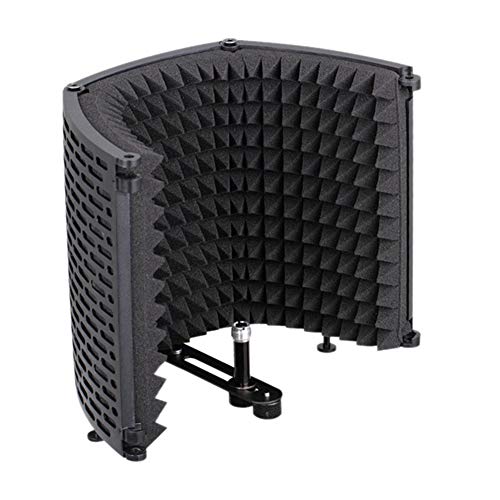 Microfono Insonorizzato