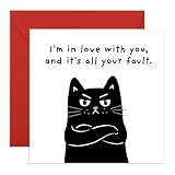 Adorabile biglietto d'amore con gatto – "I'm in love with you and it's all your fault" – simpatico biglietto romantico per lui, lei, fidanzato, fidanzata, moglie, marito, anniversario o San Valentino