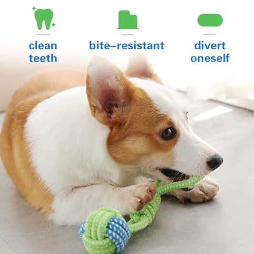 2 Stück Hundespielzeug Bälle, Hundebälle mit Schnur, interaktiv, bissfest und zahnschärfend ball mit schnur hund, für große und kleine Hunde ball mit schnur hund.