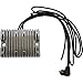 DB Electrical AHD6004-C New Chrome Voltage Regulator Rectifier Compatible with/Replacement for 81 82 83 84 85 86 87 88 1981 1982 1983 1984 1985 1986 1987 1988 Harley Big Twin 74512-84, 74513-82A