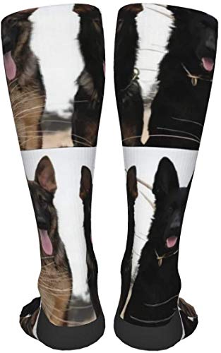 Black German Shepherd Puppies Men's/Women's Comfortable Casual Funny Long Knee High Socks Compression Socks Winter Warm Soccer Socks #TOP3