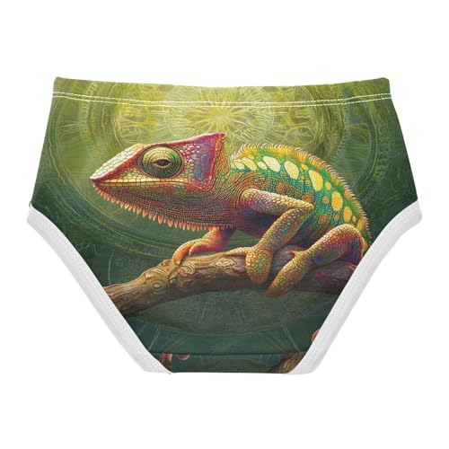 Cute Chameleon Green Galaxy Toddler Girls's Underwear 2T 202b87452