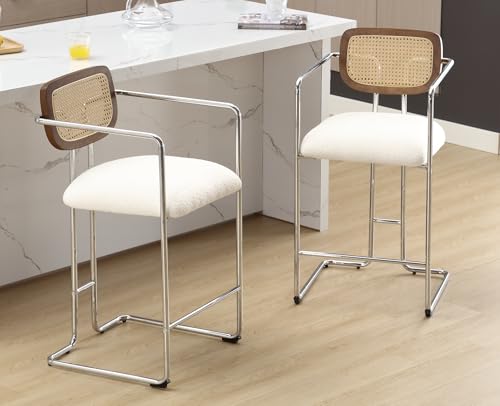 DAYALANE Barhocker 2er Set, Retro Barstühle mit Rattan Rückenlehne...