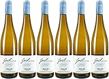 REBSORTE: Riesling, Anbaugebiet Rheinhessen, Deutschland