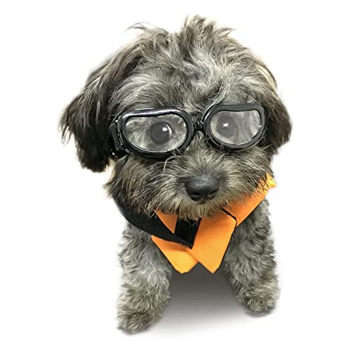 Protection Dogs The 15 best products compared Wild Explained