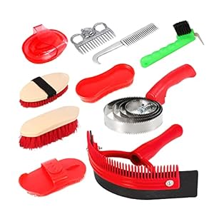 10pcs Horse Grooming Set, Brush Kit with Body Brush, Cleaning Tools