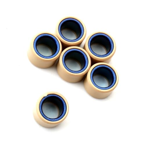 Rouleau de variateur 20x15mm pour réparer l'accélération du Burgman