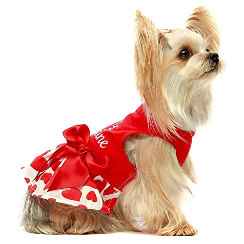 Fitwarm Valentines Day Be My Pawlentines Dog Dresses Puppy Party Costumes Doggie Shirts Cat Outfits Red Medium - Image 4