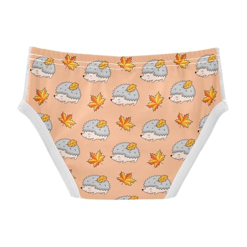 Cotton Little Boys Briefs Hedgehogs Maple Leaves Soft Toddler Underwear2