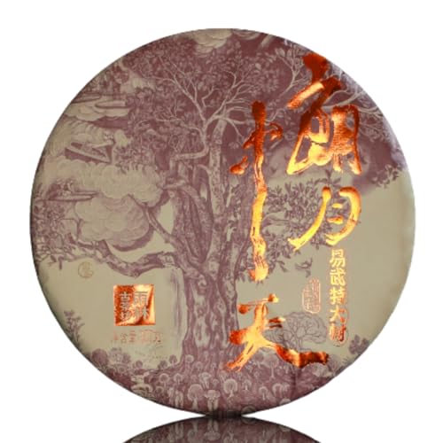 Thé Puerh Cru Yiwu millésime 2020 reconnectez avec la nature à travers un thé d'arbres anciens