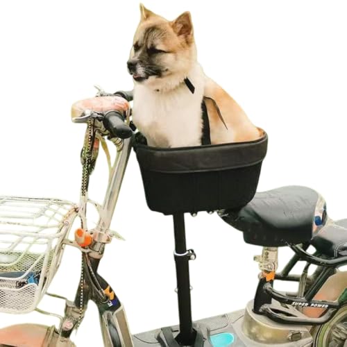 SIzlahoybgL[]ԃJS|[^u]ԃtgNXo[pAEghAVbsOω׏dybgJSX|WpbhtLƌp (XN[^[tf)