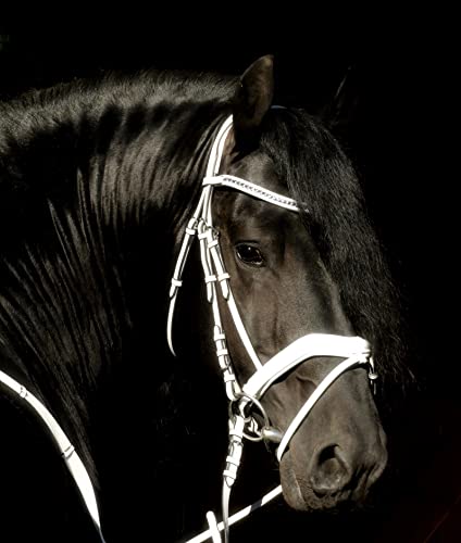 Snow Friese Show Trense Weiss Glitzer Reitzaum Weiß Zaum + Zügel Ergonomisch VB WB X Full eher Kaltblut !! Volti Show Tysons (XFULL)