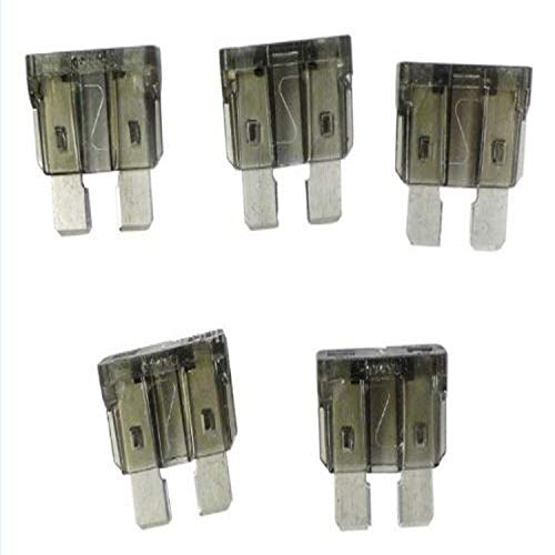 Hayward HPXFUSE1A 1-ampere Fuse Replacement Kit for Hayward Heatpro Heat Pump, Set of 5