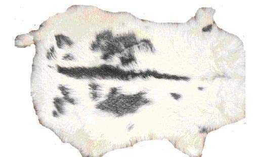 Roger Enterprises Natural Gray Grey Top Grade Rabbit Fur Pelt Skin Taxidermy Jumbo Size XXL