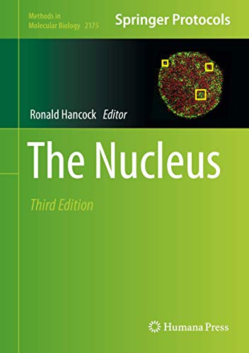 The Nucleus view 2