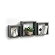 Modul’Home 6RAN789BC Ablage in Würfelform, Fach, MDF, 11,8 x 30 x 30 cm, Anthrazitgrau, 3 Tailles 23cm/26,5cm/30cm