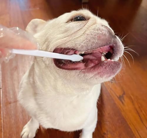 Image of YYaaloa 10pcs Double-Headed Toothbrush Dog Toothbrush Kit Set with Long Handle Soft Grooming for Cat Puppy Kitten Teeth Cleaning Dental Oral Cleaning (10 Colors, 10pcs)