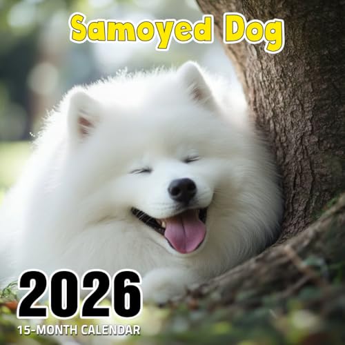 Samoyed Dog 2026 Calendar: Fluffy white companions spreading winter cheerのサムネイル