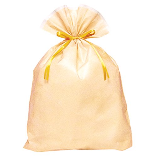 巾着袋 ヘッズ 袋－PE－巾着 W300×D80×H400mm 20枚 HEADS MFT-KBL