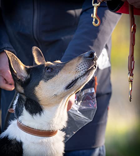 Hundeleine Leder 2,0m Premium Rund-Lederleine mit Edelstahl-Karabiner, Hunde Führleine mehrfach verstellbar - Francis (Braun)