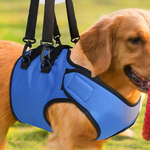 Hundehebegeschirr, Hundetragegurt | Hundehebe-Stützgeschirr für Vorderbeine | Verstellbare Tragegurtstütze aus Oxford-Stoff, die Ihrem Welpen beim Stehen und Treppensteigen hilft