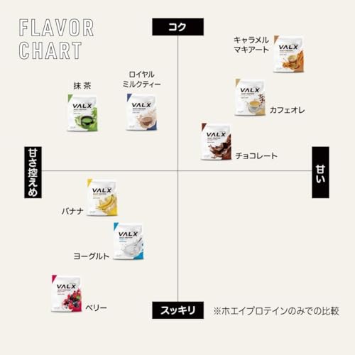 VALX ホエイプロテイン 9種セット