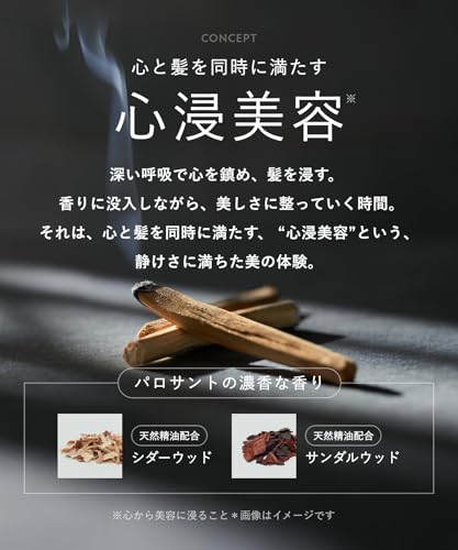 BOTANIST SANTAL サンタル リペア オイルイン シャンプー トリートメント セット の商品画像 3
