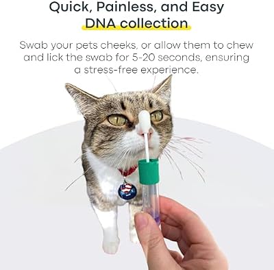 猫のDNA検査キット Breed + Health(猫種・健康レポート)