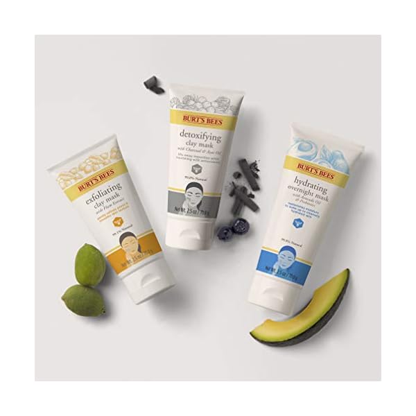 Burt's Bees Hydrating for Unisex, Overnight Mask, 2.5 Oz