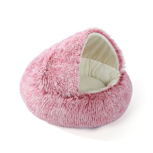 SHIHEER LpnEX ybgxbh h[^ ӂӂ 􂦂 p ~p ʔNp h ۉ LbgnEX ^`^L p  ΍ g  2-BEIKEBFB