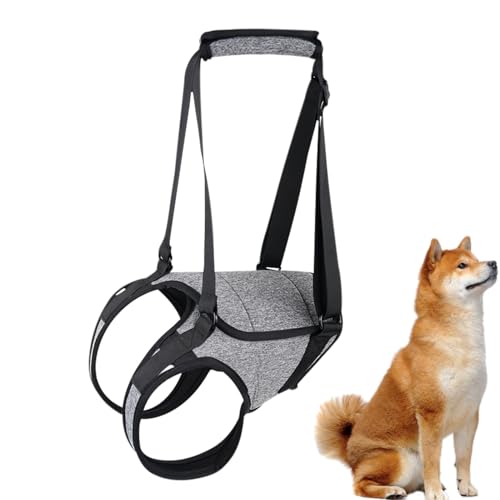 犬用リアリフトハーネス - シニア犬用サポートスリング, 犬用階段ヘルパー | 高齢犬や怪我した犬の後脚サポート、散歩や家の中での移動をサポートする ペット用ハーネス