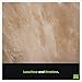 Meoded Paint & Plaster | Stucco Lamundo Venetian Plaster | Glossy Lime Based Plaster | Decorative Plaster For Interior Surfaces