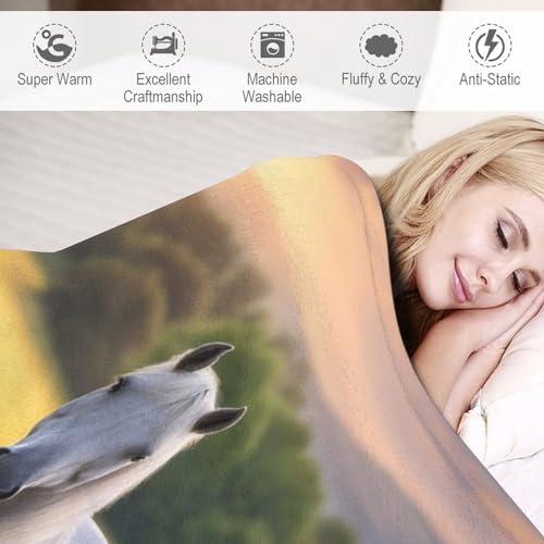 Couvertures en cheval flannel couverture douce lit canapé