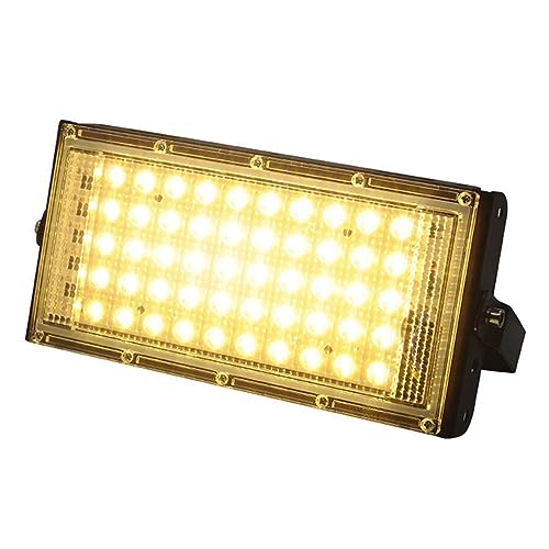Lumière d'inondation LED 50W DELURA étanche IP65 projecteur de terrasse durable