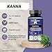 APOLLO'S HEGEMONY Kanna 50mg, Extract 10:1 Standardized to 2% of Mesembrine, 90 Vegan Tablets, 3 Months Supply, Natural Adaptoten, Supports Mental Well-Being