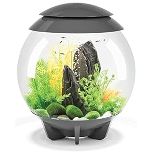 biOrb Halo 15 Acrylic 4-Gallon Aquarium with Multi-Color Remote-Controlled LED Lights, Gray