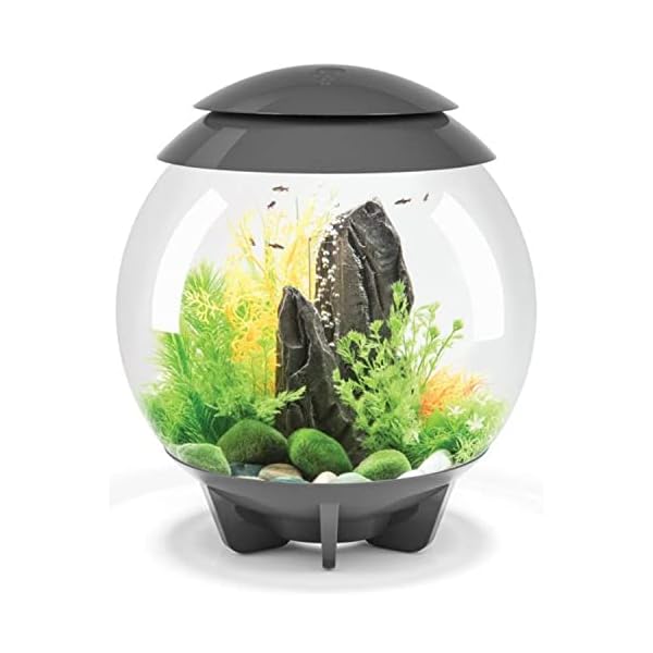 biOrb Halo 15 Acrylic 4-Gallon Aquarium with Multi-Color Remote-Controlled LED Lights, Gray