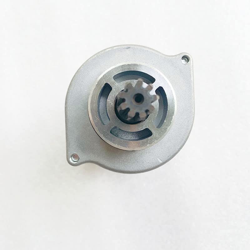 ビスマルキア•ノビリス （樹高:約100cm）Spe02 Bismarckia nobilis