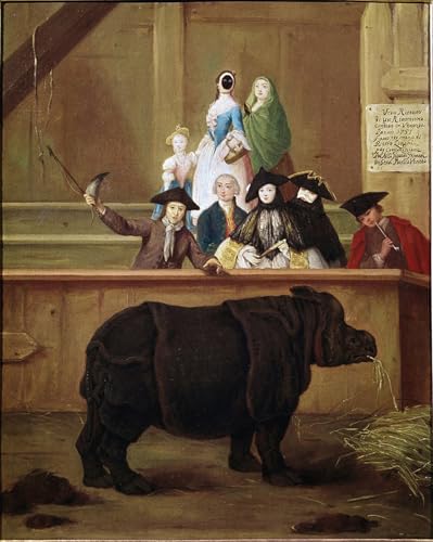 Rhinocéros indien Clara Pietro Longhi toile 60x90cm : rompez la monotonie de votre bureau