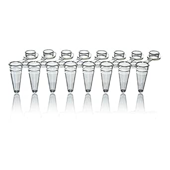 BrandTech Scientific P1100 PCR 8-Strip with Flat Cap for 0.15ml Tube ...