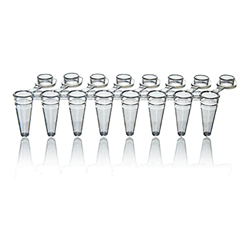 Tube PCR 8 bandes BrandTech Scientific P1100 avec bouchon plat pour laboratoire 0.15 ml x20