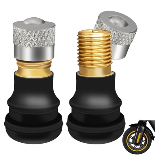 LEIBOCHAO 2 Piezas Válvula de Neumático Tubeless para xiaomi Patinete, para Ninbot MAX G30 Patinete