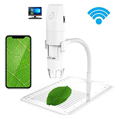 u fW^nhwh USB HDJ50X-1000X{(Wifi White)