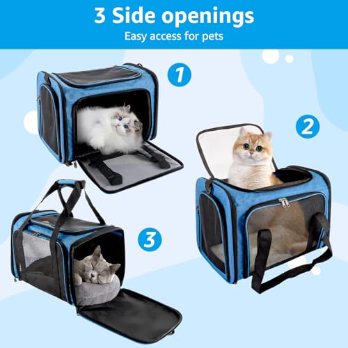 Transportbox Katze, Katzentransportbox 45cm*30cm*30CM, Katzen Transportboxen Hunde Transporttasche, Atmungsaktive Katzentasche mit Mesh-Fenster für Katzen Kleiner Hund Welpe – Bild 5