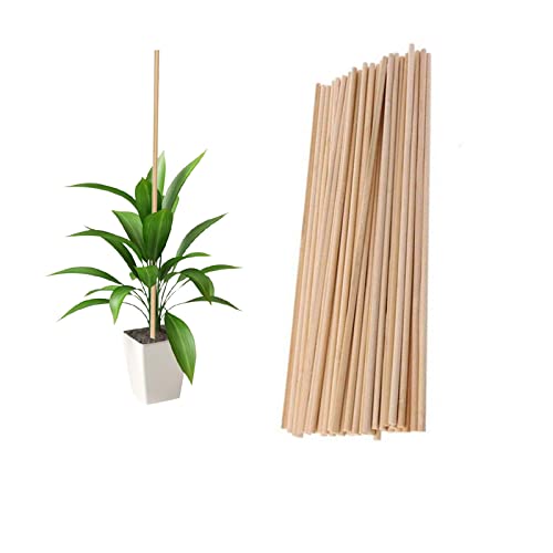 Plant Support Sticks, 50 Stück 40 cm Wiederverwendbare Bambuspflanzen Support Flower Stick Gartengeräte für Gartenstöcke (40CM)
