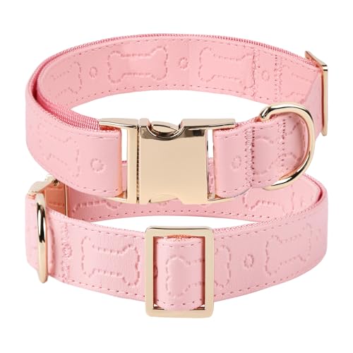 TDTOK X^CbVȃU[hbOJ[AKȃ\tgPUU[̎ցA^^^pANCbN^obNtA߉\ȃybgJ[A킢p^[fUC