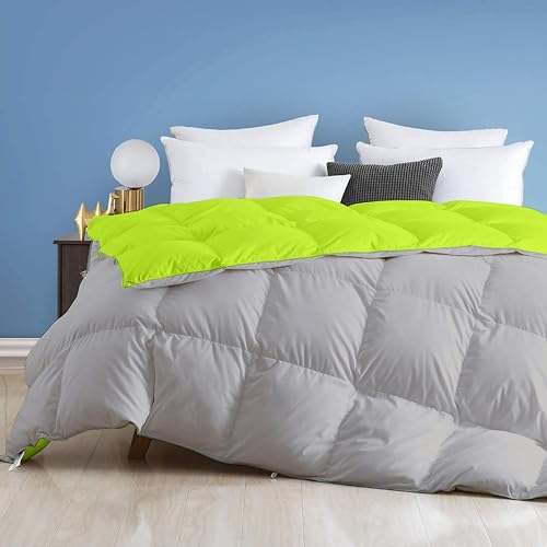 Image of Day Care - 400 GSM Hotel Quality-Down Alternative Reversible Blanket for Winter Double Size (90 inch x 100 inch Inches /228cm x 228cm) -Comforter Set for Double Bed|Parrot /Silver